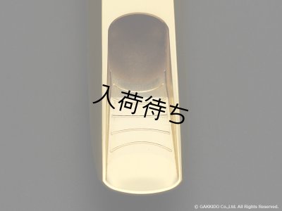 画像9: TheoWanne　BRAHMA　テナーサックス用メタルマウスピース　【GP】