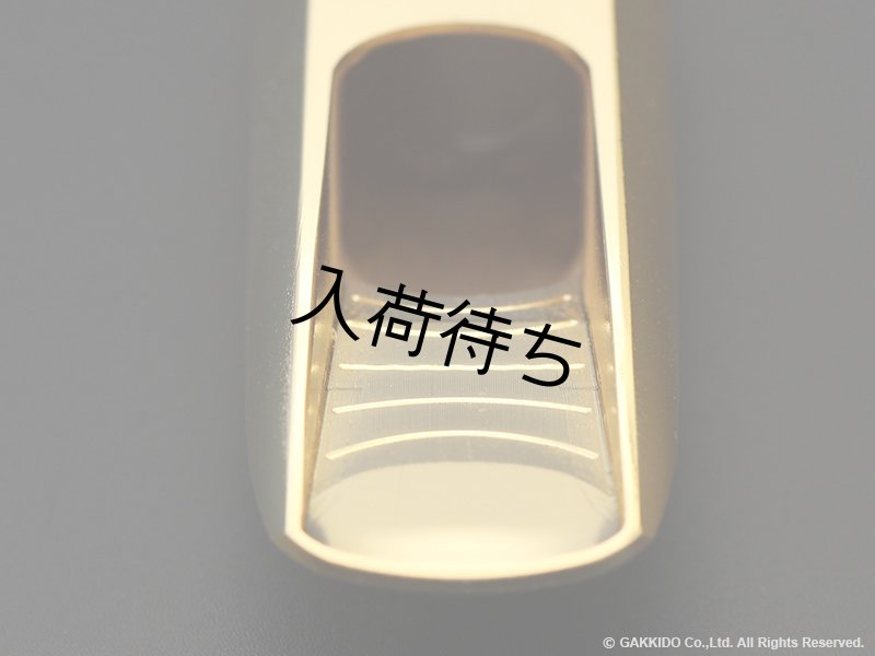 TheoWanne BRAHMA テナーサックス用メタルマウスピース 【GP