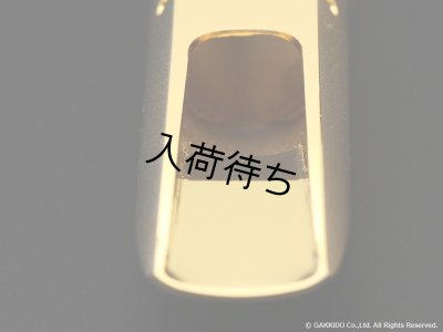 画像10: TheoWanne　DURGA 5　テナーサックス用メタルマウスピース　【GP】