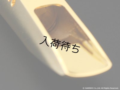 画像11: TheoWanne　DURGA 5　テナーサックス用メタルマウスピース　【GP】