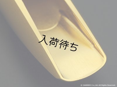 画像4: TheoWanne　DEX　テナーサックス用メタルマウスピース　【GP】