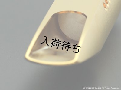 画像9: TheoWanne　DEX　テナーサックス用メタルマウスピース　【GP】