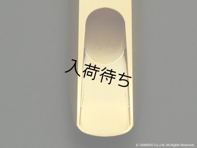 画像11: TheoWanne　DEX　テナーサックス用メタルマウスピース　【GP】
