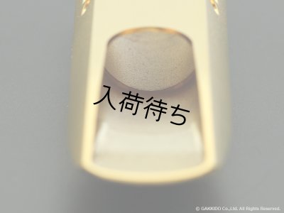 画像12: TheoWanne　DEX　テナーサックス用メタルマウスピース　【GP】
