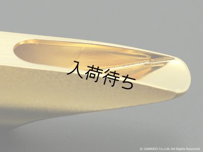 画像17: TheoWanne　DEX　テナーサックス用メタルマウスピース　【GP】