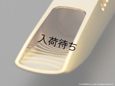 画像8: TheoWanne　GAIA 4　テナーサックス用メタルマウスピース　【GP】