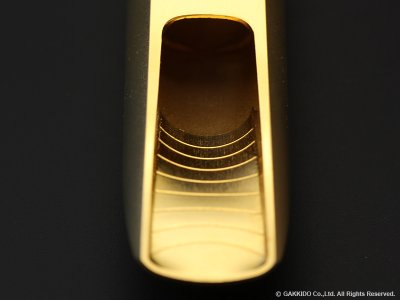 画像10: TheoWanne　GAIA 4　テナーサックス用メタルマウスピース　【GP】