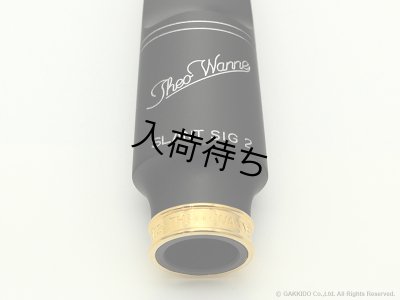 画像6: TheoWanne　Slant Sig 2 Hard Rubber　テナーサックス用ラバーマウスピース