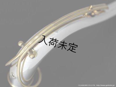 画像4: Gloger　テナーサックス用ネック　対応・ネックカーブ：SELMER　MkVI　【総銀製】