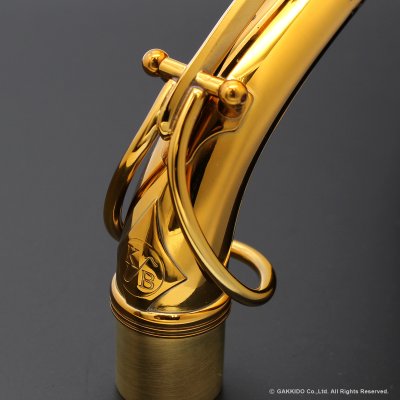 画像6: KB Sax　アルトサックス用ネック　【CANYON - C-69 BRASS】　【Dark Lacquer Finish】