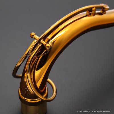 画像6: KB Sax　テナーサックス用ネック　【CANYON - M-61 BRASS】　【Dark Lacquer Finish】