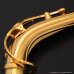 画像2: YAMAHA　アルトサックス用ネック　スターリングシルバー製　特注金メッキ仕上げ　【AG1AG-Gold Plated】 (2)