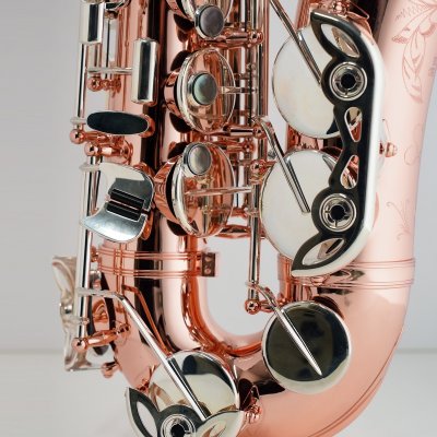 画像5: BUFFET CRAMPON　アルトサックス　Senzo　【200周年特別限定コレクション】