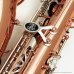 画像8: BUFFET CRAMPON　アルトサックス　Senzo　【200周年特別限定コレクション】 (8)