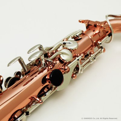 画像9: BUFFET CRAMPON　アルトサックス　Senzo　【200周年特別限定コレクション】