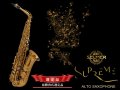 H.SELMER　シュプレーム　アルトサックス　【ダークゴールドラッカー仕上げ】　【崔勝貴氏選定品】　【オーパス本店在庫分】