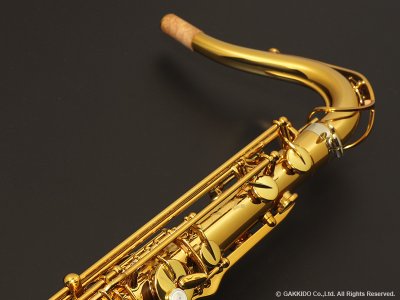 画像6: H.SELMER　シグネチャー　テナーサックス　【ダークシグネイチャーラッカー仕上げ】　【大石将紀氏選定品】　【オーパス本店在庫分】