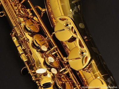 画像9: H.SELMER　シグネチャー　テナーサックス　【ダークシグネイチャーラッカー仕上げ】　【大石将紀氏選定品】　【オーパス本店在庫分】