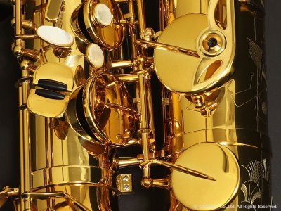 画像11: H.SELMER　シグネチャー　テナーサックス　【ダークシグネイチャーラッカー仕上げ】　【大石将紀氏選定品】　【オーパス本店在庫分】