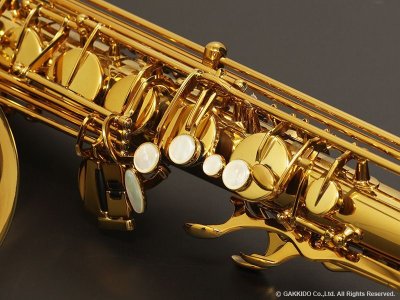 画像12: H.SELMER　シグネチャー　テナーサックス　【ダークシグネイチャーラッカー仕上げ】　【大石将紀氏選定品】　【オーパス本店在庫分】