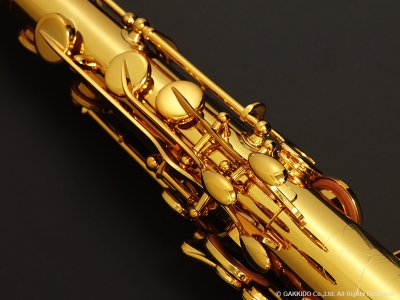 画像17: H.SELMER　シグネチャー　テナーサックス　【ダークシグネイチャーラッカー仕上げ】　【大石将紀氏選定品】　【オーパス本店在庫分】