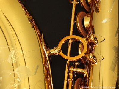 画像20: H.SELMER　シグネチャー　テナーサックス　【ダークシグネイチャーラッカー仕上げ】　【大石将紀氏選定品】　【オーパス本店在庫分】