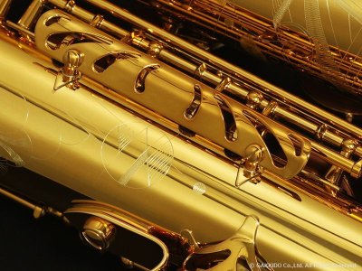 画像21: H.SELMER　シグネチャー　テナーサックス　【ダークシグネイチャーラッカー仕上げ】　【大石将紀氏選定品】　【オーパス本店在庫分】