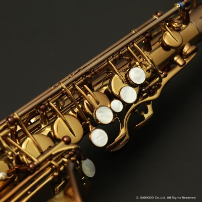 画像14: Wood Stone　Super Custom　アルトサックス　ヴィンテージラッカー仕上げ　【WOF】