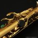 画像13: Wood Stone　Super Custom X　アルトサックス　ヴィンテージラッカー仕上げ　【WOF】 (13)