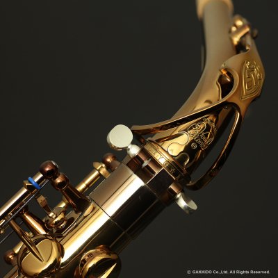 画像15: Wood Stone　Super Custom X　アルトサックス　ヴィンテージラッカー仕上げ　【WOF】