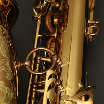 画像18: Wood Stone　Super Custom X　アルトサックス　ヴィンテージラッカー仕上げ　【WOF】