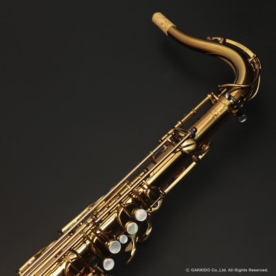 画像4: Wood Stone　Super Custom X　テナーサックス　ヴィンテージラッカー仕上げ　【WOF】