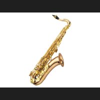 Yanagisawa　T-WO2　テナーサックス　【ラッカー仕上げ】