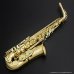画像1: H.SELMER　Super Action 80 SERIE II　Alto Sax　Lacquer Finish　Serial No：514XXX　【USED】 (1)