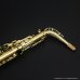 画像15: H.SELMER　Super Action 80 SERIE II　Alto Sax　Lacquer Finish　Serial No：514XXX　【USED】