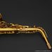 画像4: H.SELMER　Reference　Alto Sax　HUMMINGBIRD Collectors Edition　Dark Gold Lacquer　Serial No：690XXX　【USED】