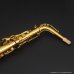 画像15: H.SELMER　Reference　Alto Sax　HUMMINGBIRD Collectors Edition　Dark Gold Lacquer　Serial No：690XXX　【USED】