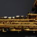 画像17: H.SELMER　Reference　Alto Sax　HUMMINGBIRD Collectors Edition　Dark Gold Lacquer　Serial No：690XXX　【USED】