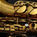 画像18: H.SELMER　Reference　Alto Sax　HUMMINGBIRD Collectors Edition　Dark Gold Lacquer　Serial No：690XXX　【USED】
