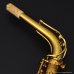 画像19: H.SELMER　Reference　Alto Sax　HUMMINGBIRD Collectors Edition　Dark Gold Lacquer　Serial No：690XXX　【USED】