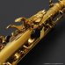 画像24: H.SELMER　Reference　Alto Sax　HUMMINGBIRD Collectors Edition　Dark Gold Lacquer　Serial No：690XXX　【USED】