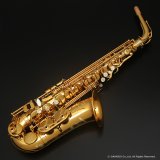 H.SELMER　Signature　Alto Sax　Dark Signature Lacquer Finish　Serial No：858XXX　【USED】