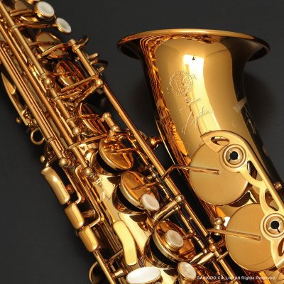 画像2: H.SELMER　Signature　Alto Sax　Dark Signature Lacquer Finish　Serial No：858XXX　【USED】