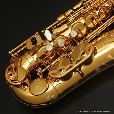 画像3: H.SELMER　Signature　Alto Sax　Dark Signature Lacquer Finish　Serial No：858XXX　【USED】