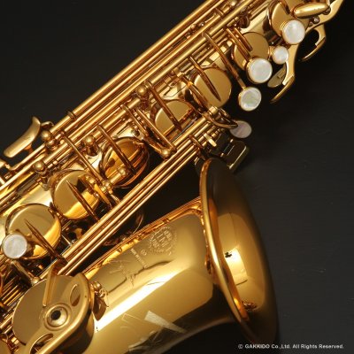 画像4: H.SELMER　Signature　Alto Sax　Dark Signature Lacquer Finish　Serial No：858XXX　【USED】