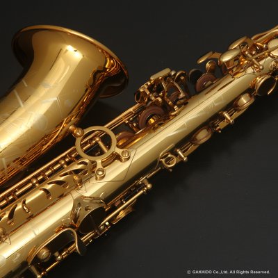 画像7: H.SELMER　Signature　Alto Sax　Dark Signature Lacquer Finish　Serial No：858XXX　【USED】