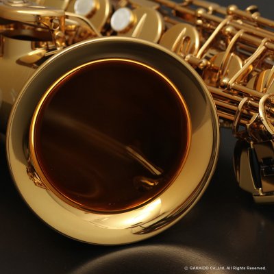 画像9: H.SELMER　Signature　Alto Sax　Dark Signature Lacquer Finish　Serial No：858XXX　【USED】