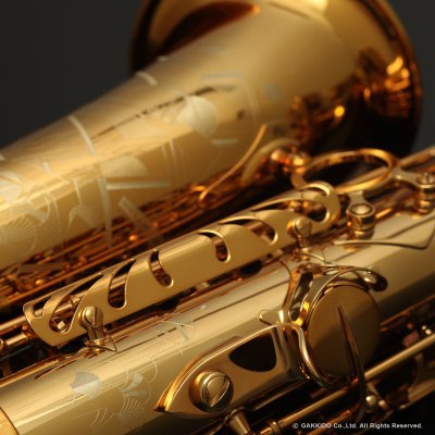 画像12: H.SELMER　Signature　Alto Sax　Dark Signature Lacquer Finish　Serial No：858XXX　【USED】