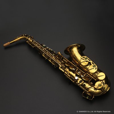 画像30: A.SELMER　Mark VI　Alto Sax　Serial No：147XXX　【Vintage】