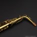画像15: A.SELMER　Mark VI　Alto Sax　Serial No：147XXX　【Vintage】 (15)